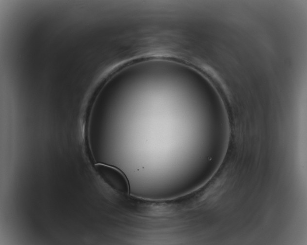 X0000089671416200706281331