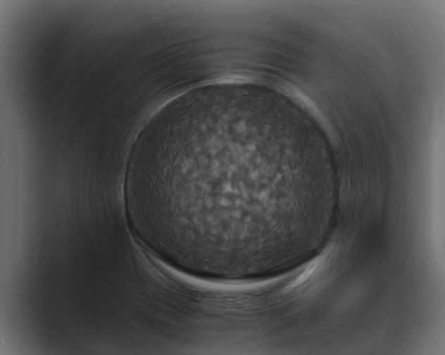 X0000089671417200706281331