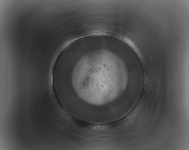 X0000089671419200706281331