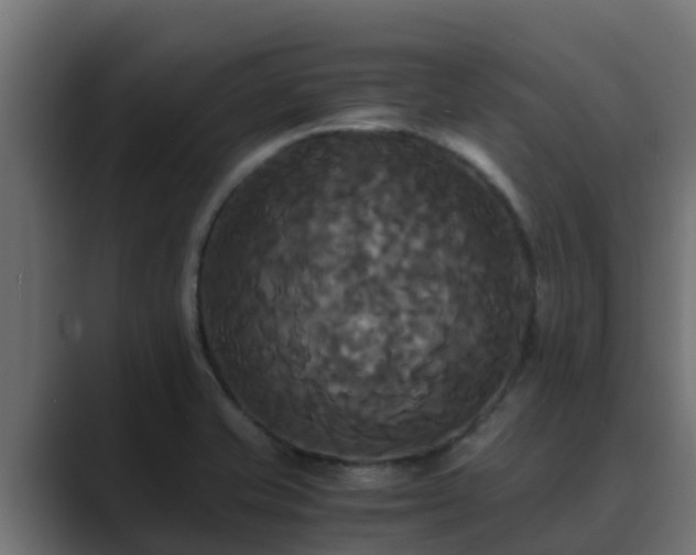X0000089671421200706281331