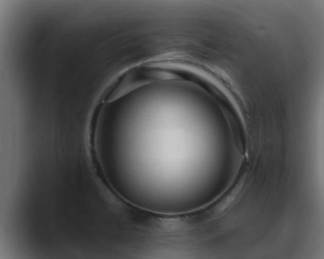 X0000089671422200706281331