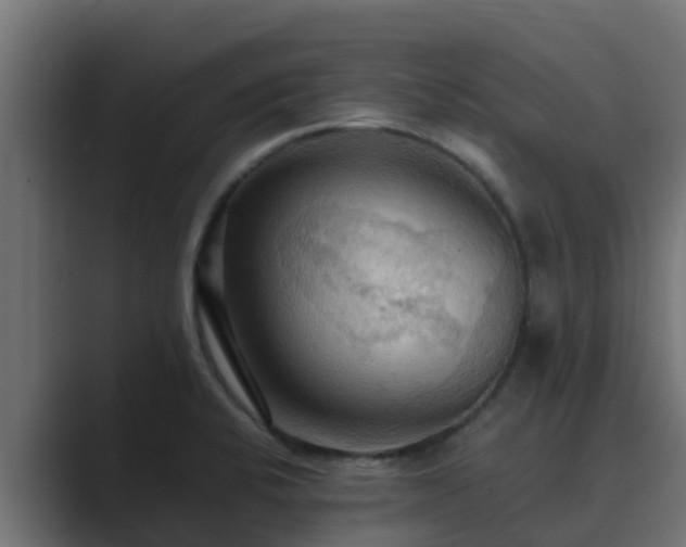 X0000089671424200706281331