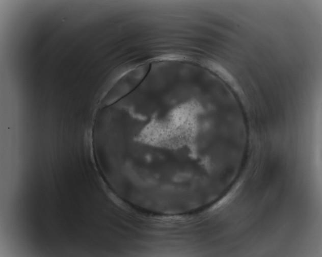 X0000089671425200706281331