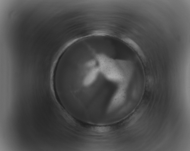 X0000089671427200706281331