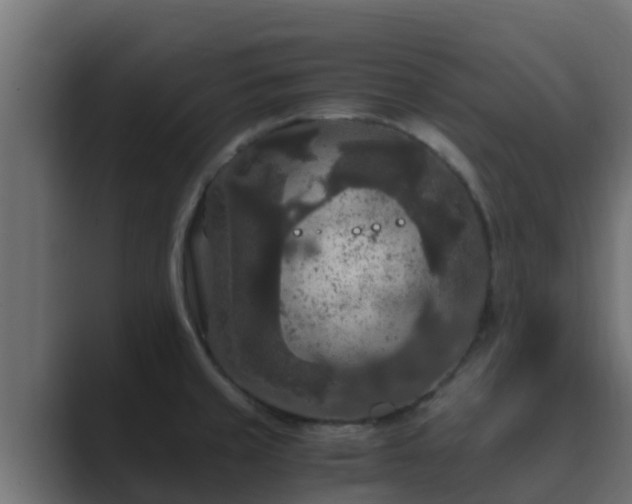 X0000089671429200706281331