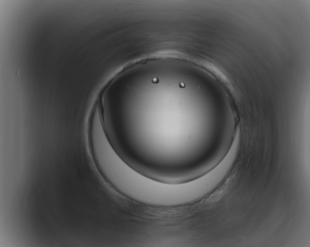 X0000089671430200706281331