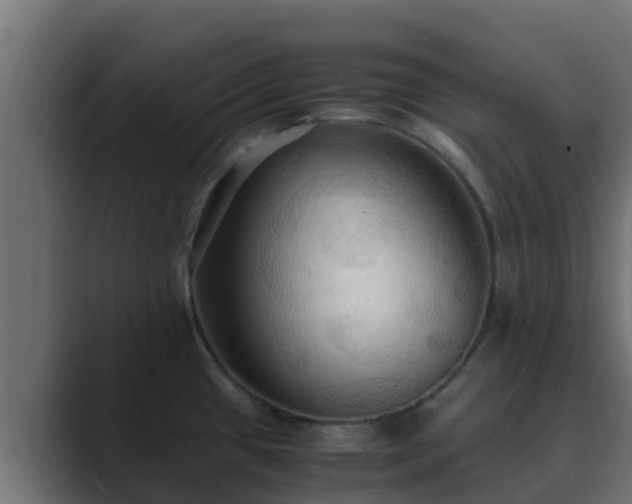 X0000089671433200706281331