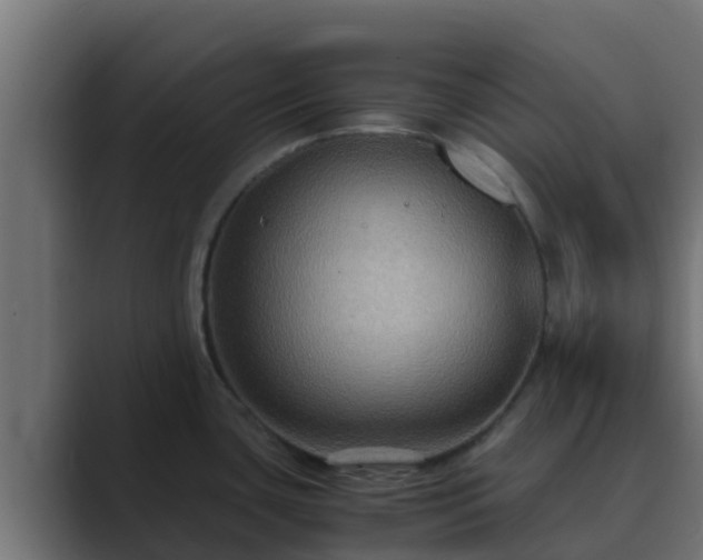 X0000089671435200706281331
