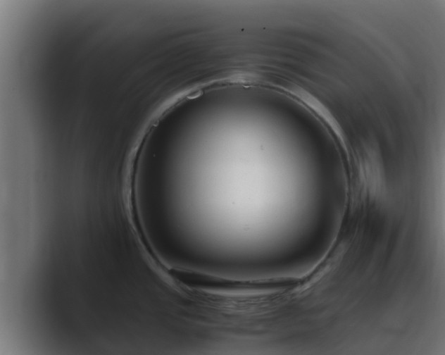 X0000089671437200706281331