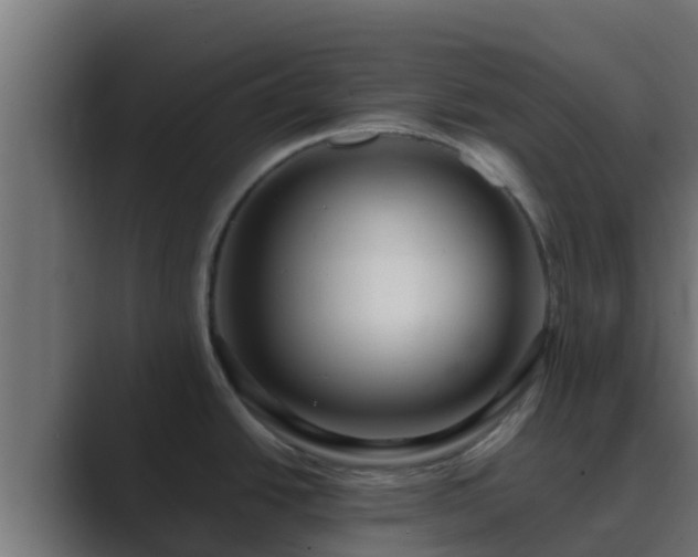 X0000089671438200706281331