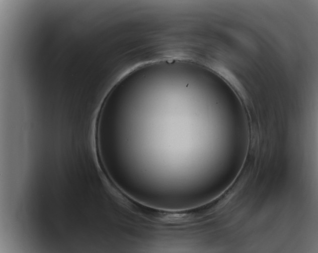 X0000089671439200706281331
