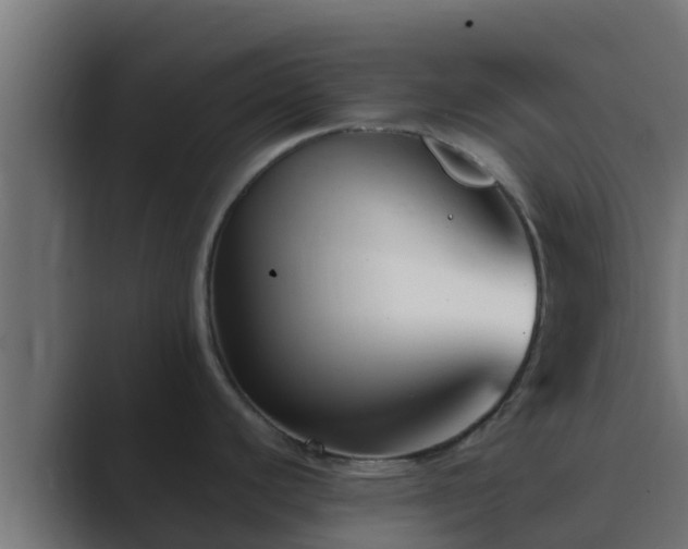 X0000089671440200706281331