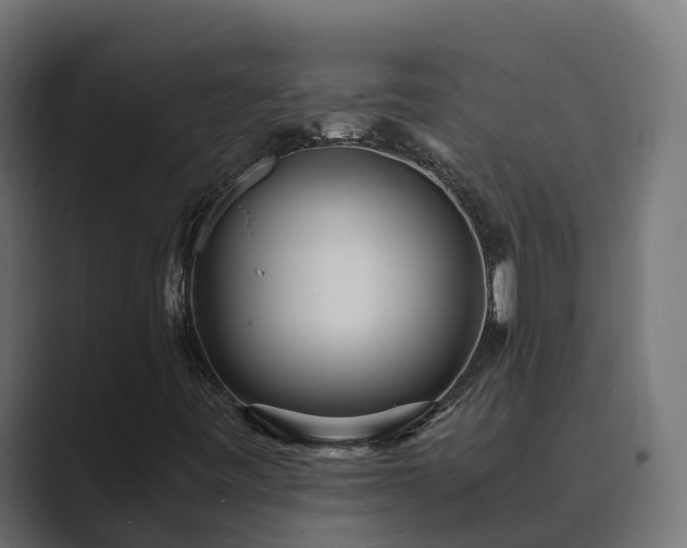 X0000089671443200706281331