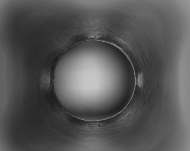 X0000089671444200706281331