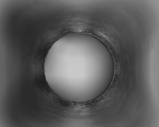 X0000089671446200706281331