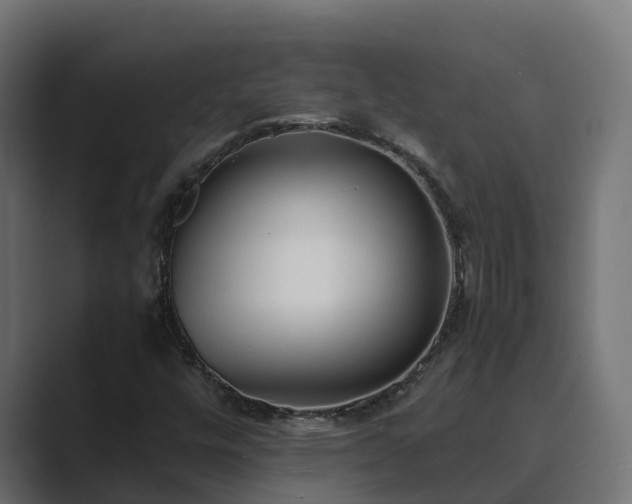 X0000089671448200706281331