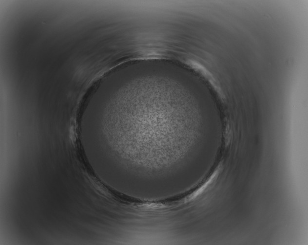 X0000089671449200706281331