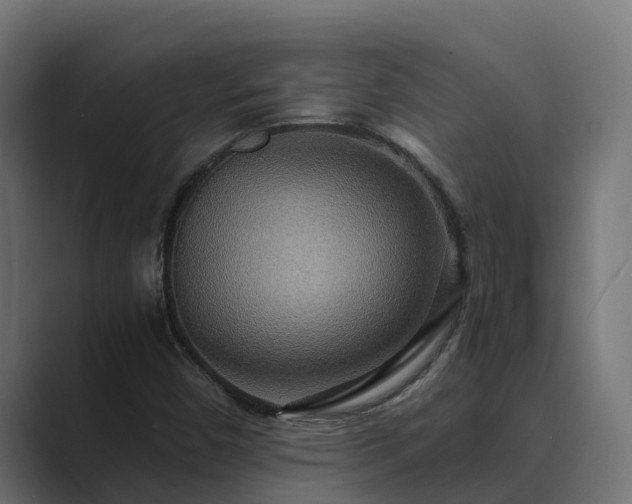 X0000089671450200706281331