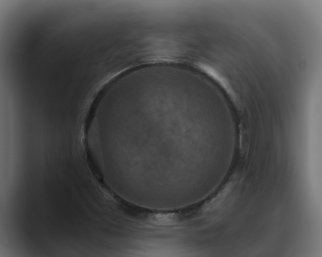 X0000089671453200706281331