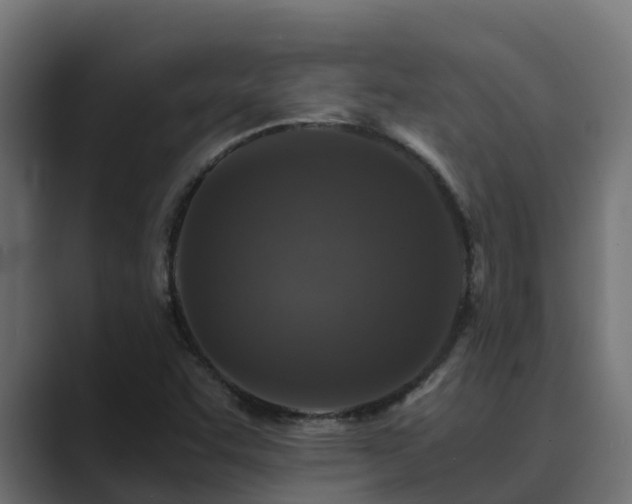 X0000089671455200706281331
