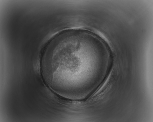 X0000089671456200706281331
