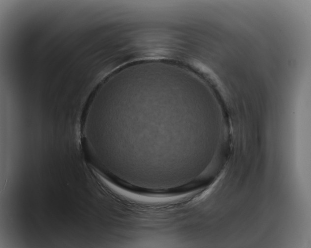 X0000089671457200706281331