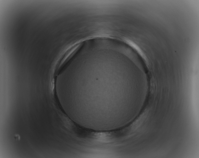 X0000089671461200706281330