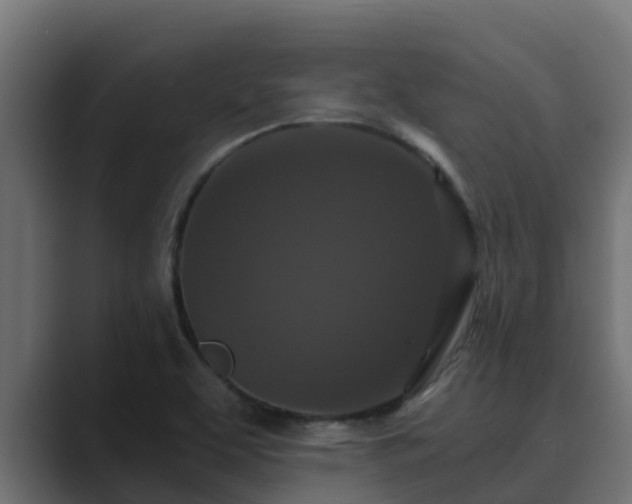 X0000089671463200706281330