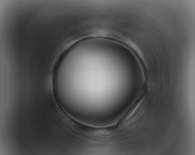 X0000089671464200706281330