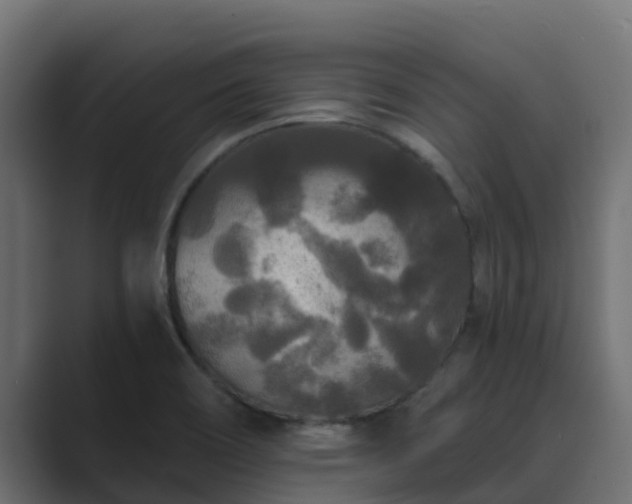 X0000089671466200706281330