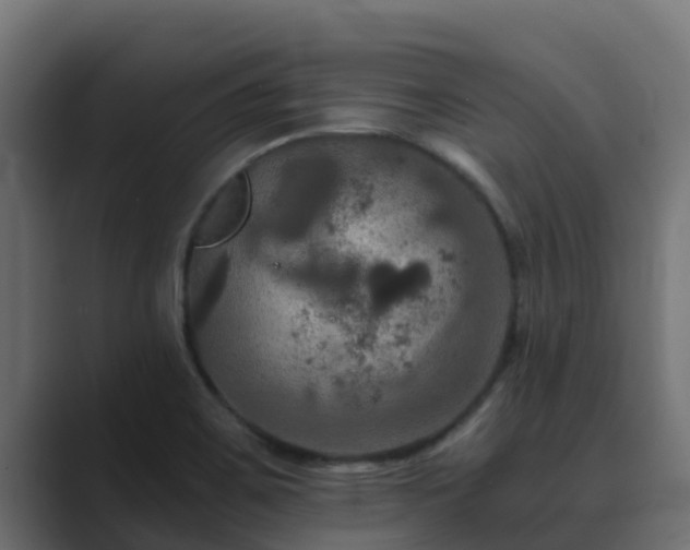 X0000089671467200706281330