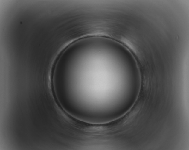 X0000089671468200706281330