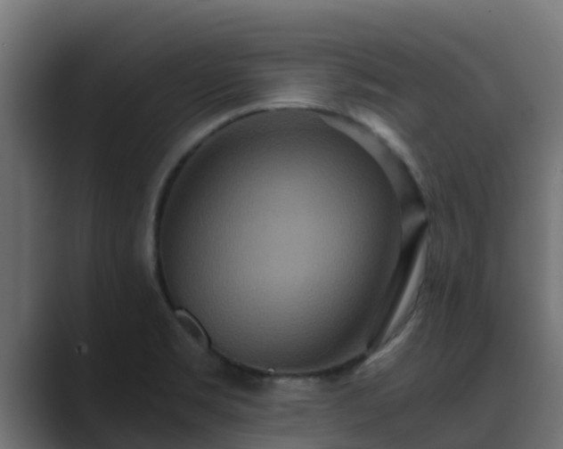 X0000089671469200706281330