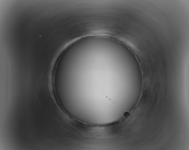 X0000089671470200706281330