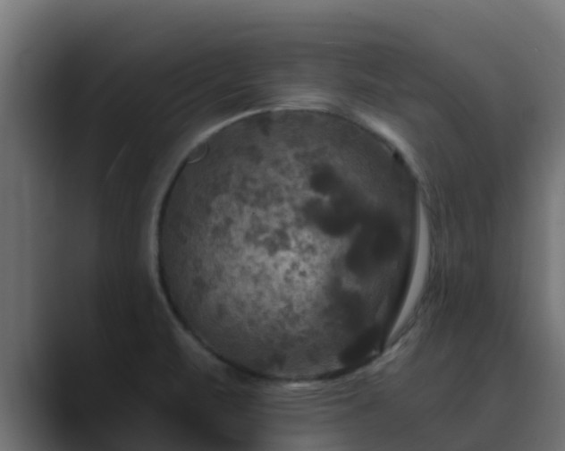 X0000089671471200706281330