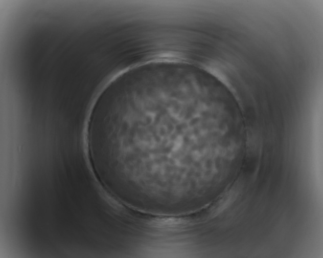X0000089671474200706281330