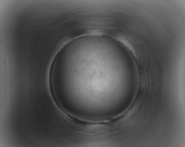 X0000089671475200706281330
