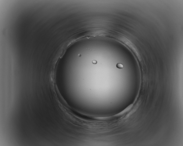 X0000089671481200706281330
