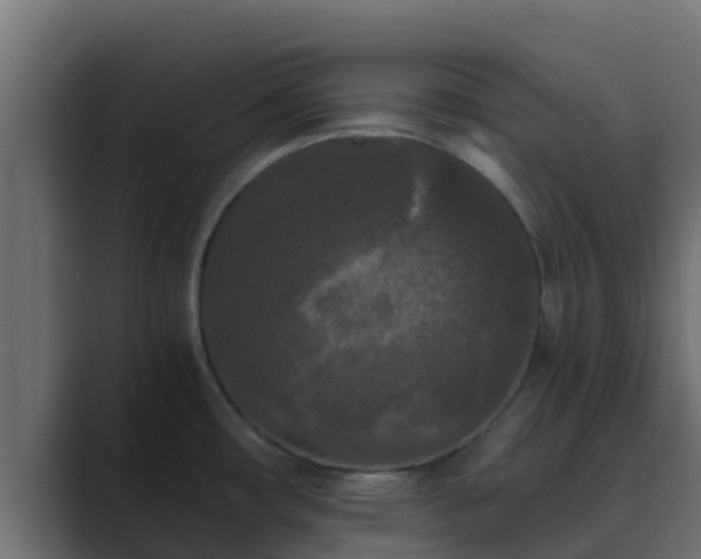 X0000089671482200706281330