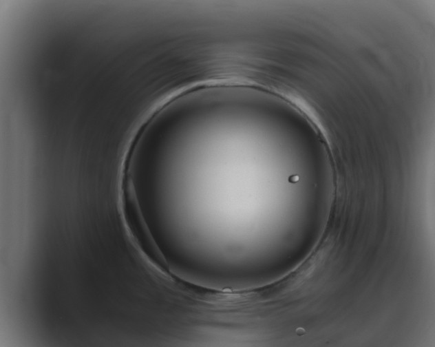 X0000089671485200706281330