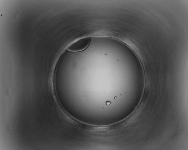 X0000089671486200706281330