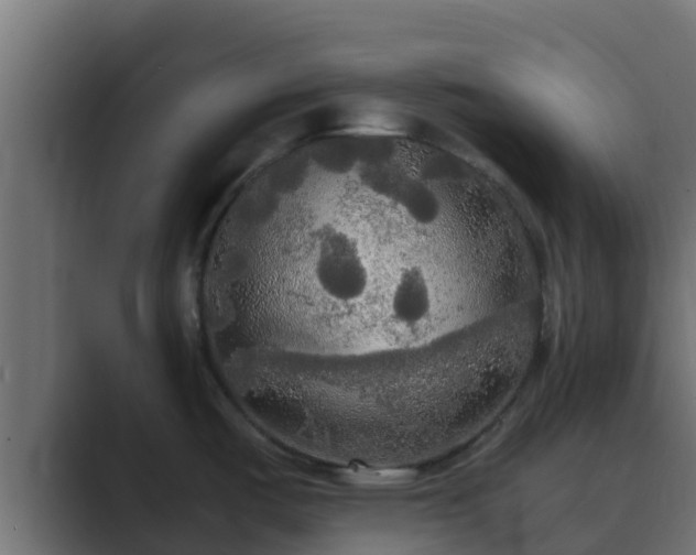 X0000089671487200706281330