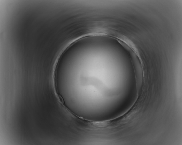 X0000089671488200706281330