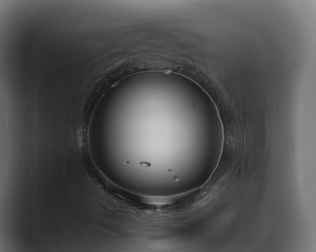X0000089671490200706281329