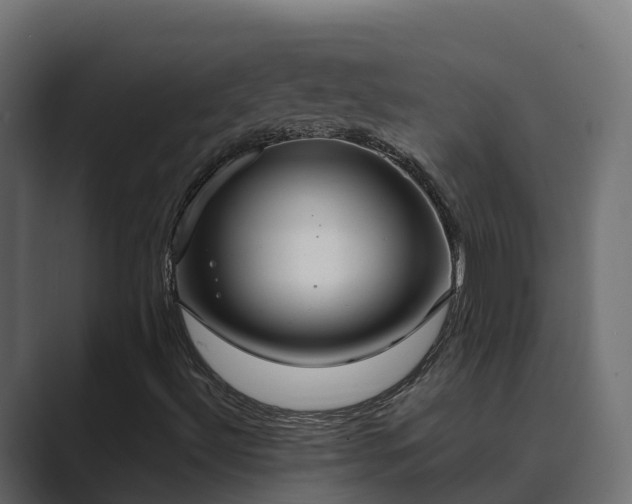 X0000089671492200706281329