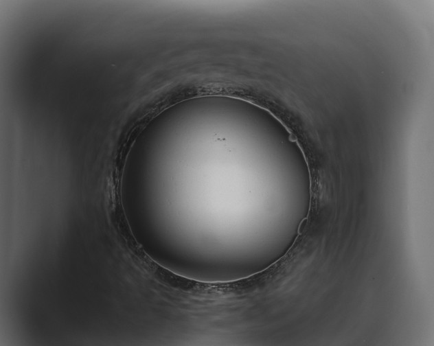 X0000089671493200706281329