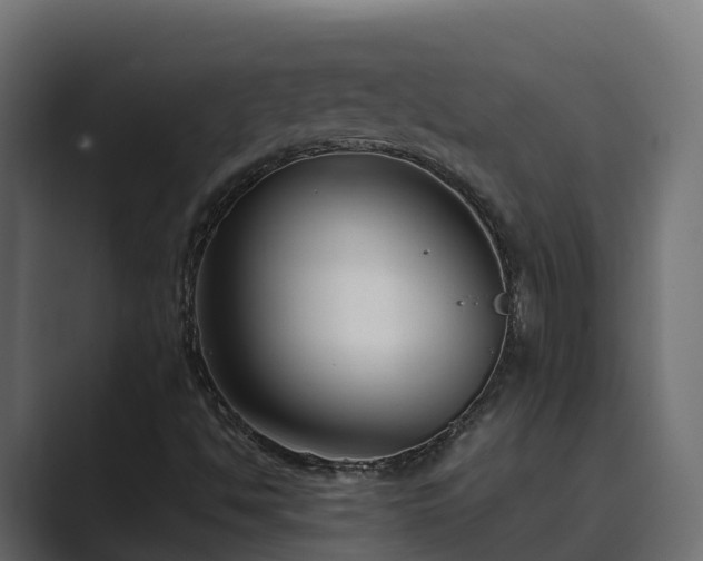 X0000089671494200706281329
