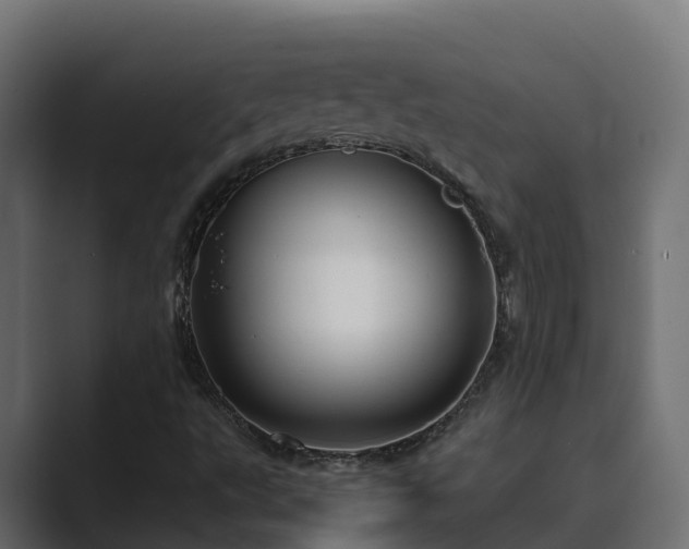 X0000089671495200706281330