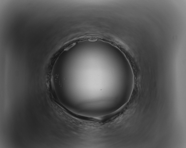 X0000089671496200706281330