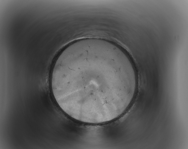 X0000089671498200706281330